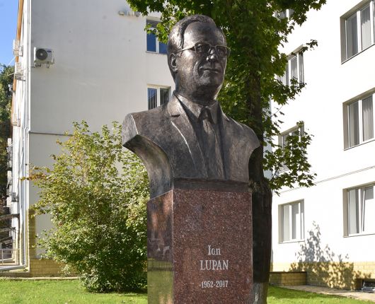 ion lupan